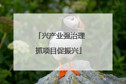 兴产业强治理 抓项目促振兴