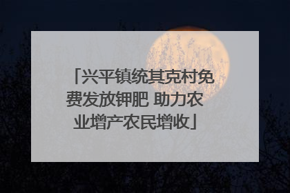 兴平镇统其克村免费发放钾肥 助力农业增产农民增收