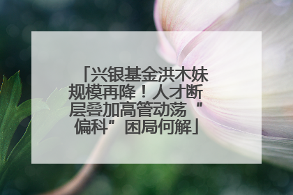 兴银基金洪木妹规模再降！人才断层叠加高管动荡“偏科”困局何解