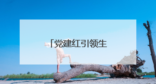 党建红引领生态绿，守护高速“绿水青山”