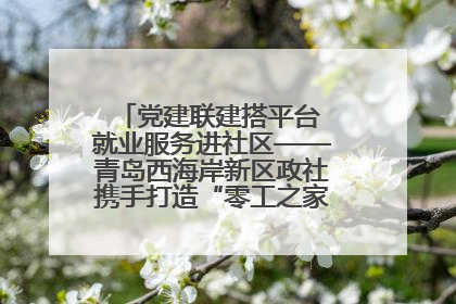 党建联建搭平台 就业服务进社区——青岛西海岸新区政社携手打造“零工之家”就业服务新阵地