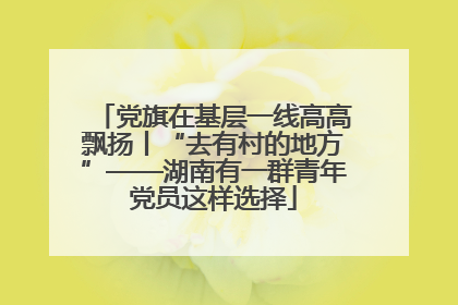 党旗在基层一线高高飘扬丨“去有村的地方”——湖南有一群青年党员这样选择