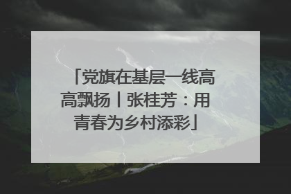 党旗在基层一线高高飘扬丨张桂芳：用青春为乡村添彩