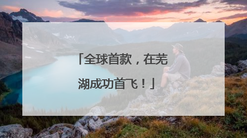 全球首款，在芜湖成功首飞！