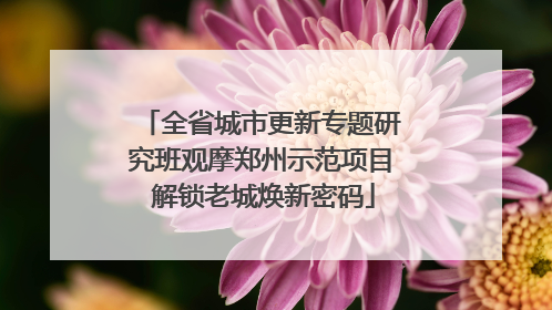 全省城市更新专题研究班观摩郑州示范项目 解锁老城焕新密码