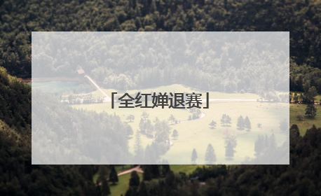 全红婵退赛