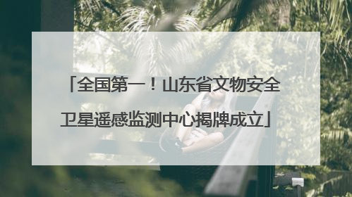 全国第一！山东省文物安全卫星遥感监测中心揭牌成立
