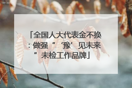 全国人大代表金不换：做强“‘豫’见未来”未检工作品牌
