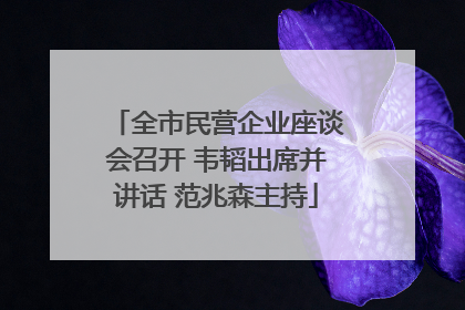 全市民营企业座谈会召开 韦韬出席并讲话 范兆森主持