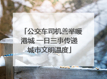 公交车司机善举暖港城 一日三事传递城市文明温度