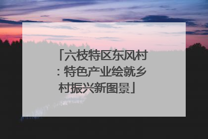 六枝特区东风村：特色产业绘就乡村振兴新图景