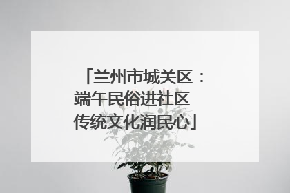 兰州市城关区：端午民俗进社区 传统文化润民心