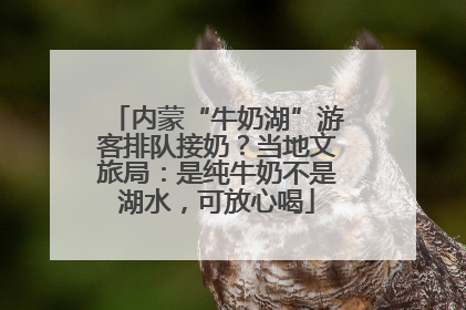 内蒙“牛奶湖”游客排队接奶？当地文旅局：是纯牛奶不是湖水，可放心喝