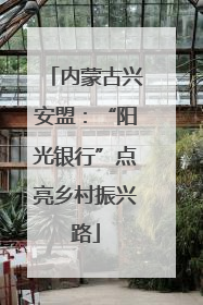 内蒙古兴安盟：“阳光银行”点亮乡村振兴路