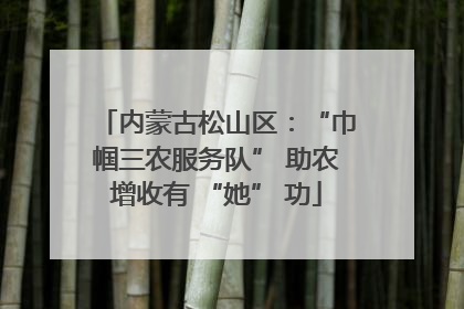 内蒙古松山区：“巾帼三农服务队” 助农增收有 “她” 功