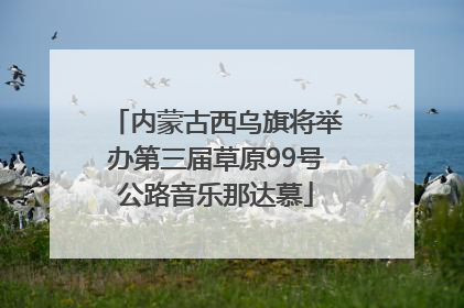 内蒙古西乌旗将举办第三届草原99号公路音乐那达慕