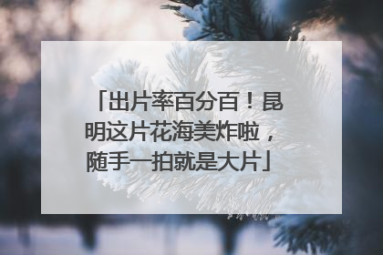 出片率百分百！昆明这片花海美炸啦，随手一拍就是大片
