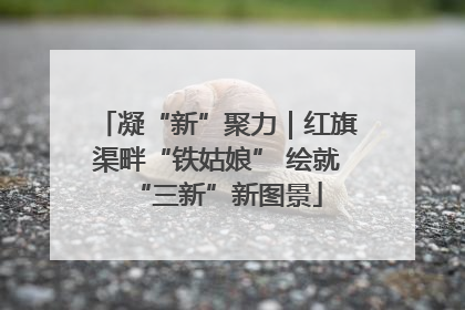 凝“新”聚力｜红旗渠畔“铁姑娘” 绘就“三新”新图景
