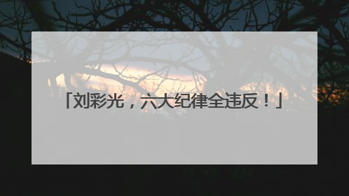刘彩光，六大纪律全违反！
