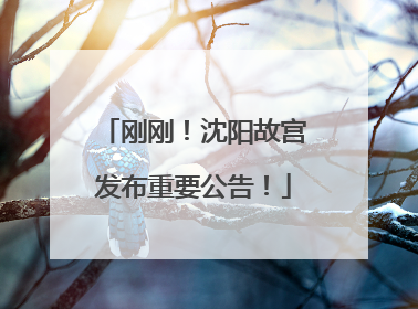 刚刚！沈阳故宫发布重要公告！