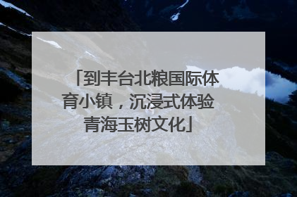 到丰台北粮国际体育小镇，沉浸式体验青海玉树文化