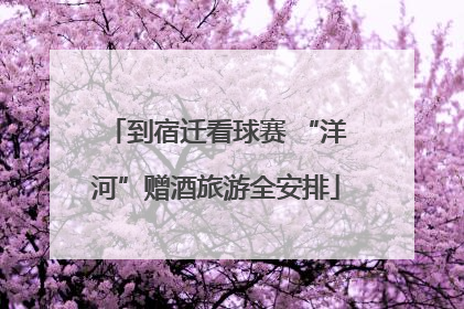 到宿迁看球赛 “洋河”赠酒旅游全安排