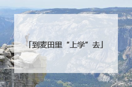 到麦田里“上学”去