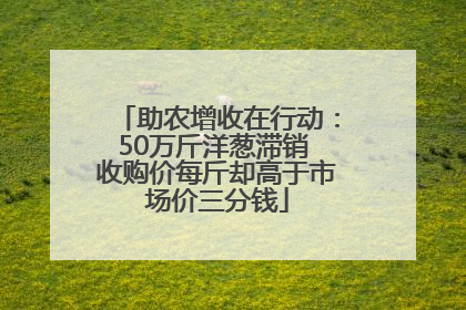 助农增收在行动：50万斤洋葱滞销 收购价每斤却高于市场价三分钱