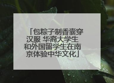 包粽子制香囊穿汉服 华裔大学生和外国留学生在南京体验中华文化