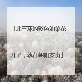 北三环的彩色油菜花开了，就在朝阳安贞
