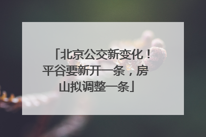 北京公交新变化！平谷要新开一条，房山拟调整一条