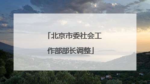北京市委社会工作部部长调整