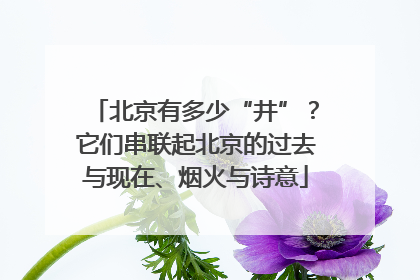 北京有多少“井”？它们串联起北京的过去与现在、烟火与诗意