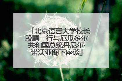 北京语言大学校长段鹏一行与厄瓜多尔共和国总统丹尼尔·诺沃亚阁下座谈