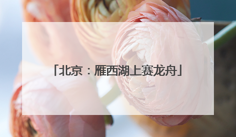 北京：雁西湖上赛龙舟