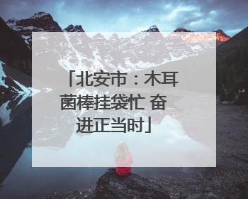 北安市：木耳菌棒挂袋忙 奋进正当时