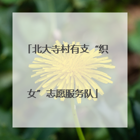 北大寺村有支“织女”志愿服务队