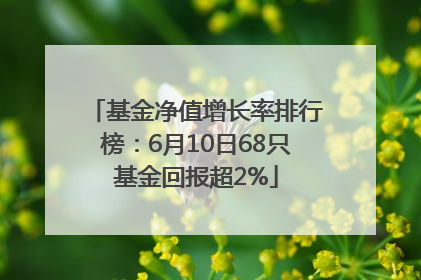基金净值增长率排行榜：6月10日68只基金回报超2%