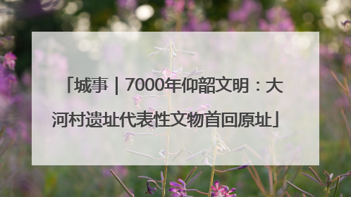 城事｜7000年仰韶文明：大河村遗址代表性文物首回原址