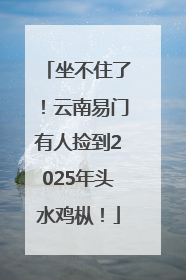 坐不住了！云南易门有人捡到2025年头水鸡枞！