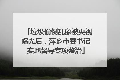 垃圾偷倒乱象被央视曝光后，萍乡市委书记实地督导专项整治