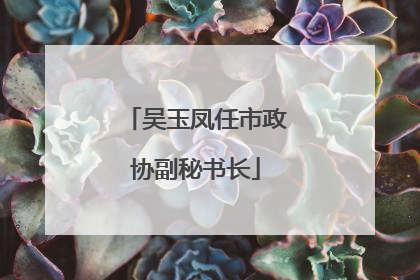 吴玉凤任市政协副秘书长
