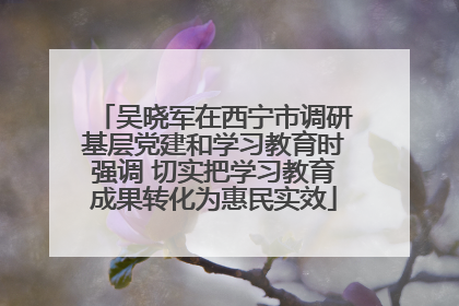 吴晓军在西宁市调研基层党建和学习教育时强调 切实把学习教育成果转化为惠民实效