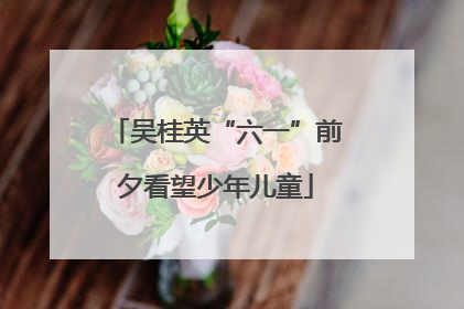 吴桂英“六一”前夕看望少年儿童