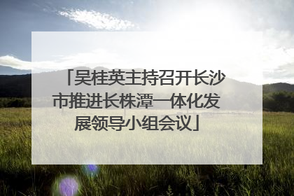 吴桂英主持召开长沙市推进长株潭一体化发展领导小组会议