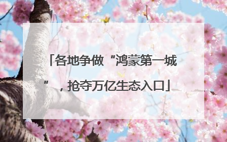 各地争做“鸿蒙第一城”，抢夺万亿生态入口
