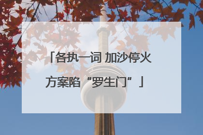 各执一词 加沙停火方案陷“罗生门”