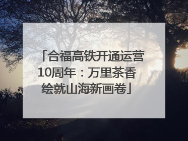 合福高铁开通运营10周年：万里茶香绘就山海新画卷