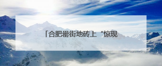 合肥罍街地砖上“惊现”多种海洋生物化石 专家：具有一定观赏价值