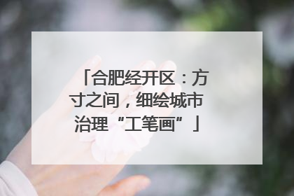 合肥经开区：方寸之间，细绘城市治理“工笔画”